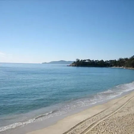 Plein Sud 7 *